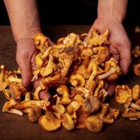 Restaurant Partage | Plats
